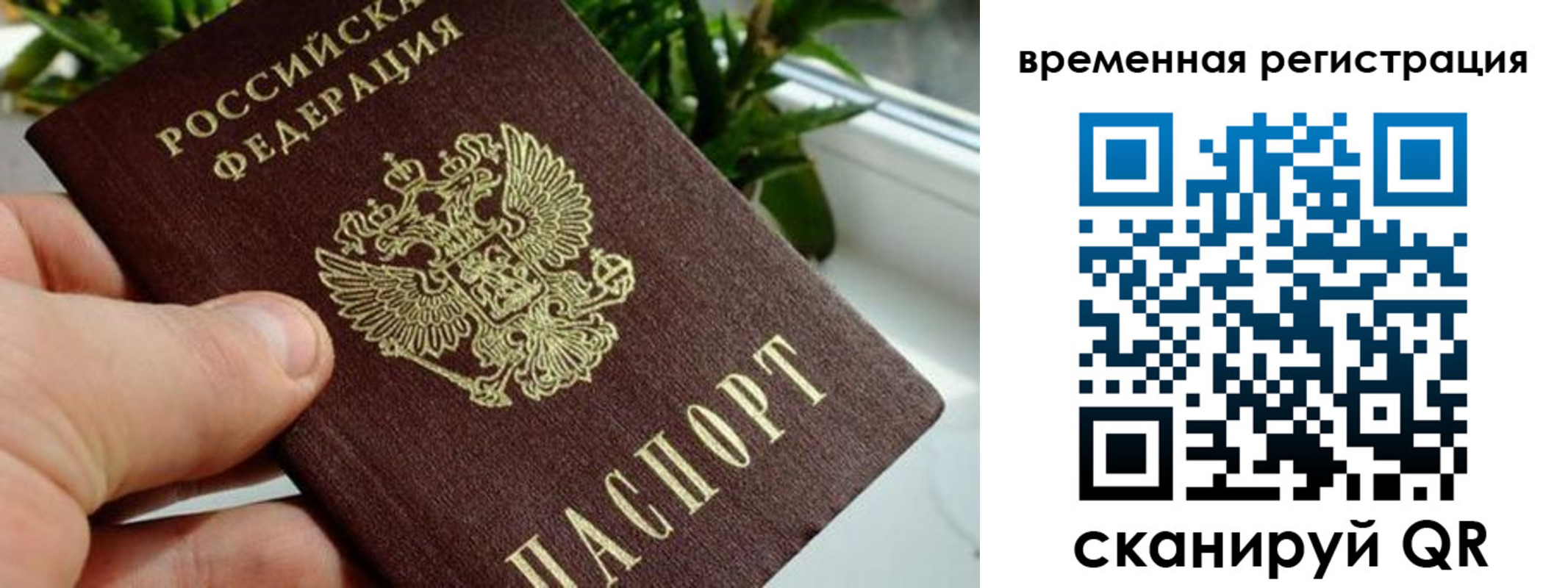 прописка поиск в Якутии